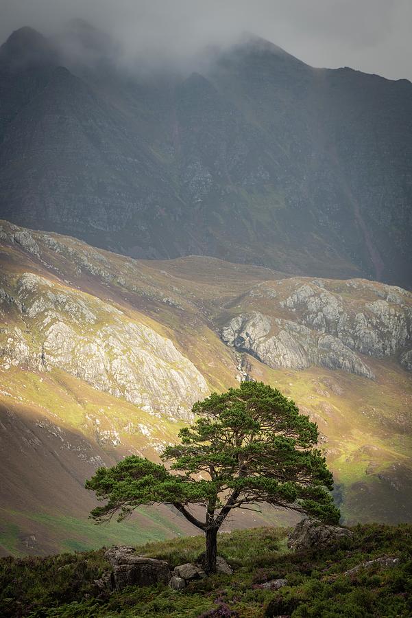 Loch Maree, Northwest Highlands Of Scotland, UK Photograph by Sarah Howard