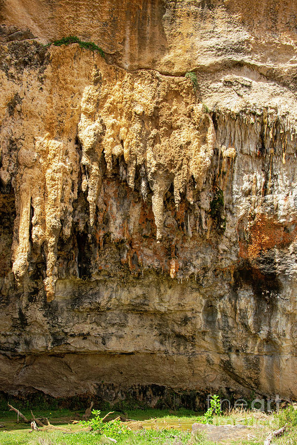 Lock Ard Gorge Cave Stalactites Photograph by Bob Phillips