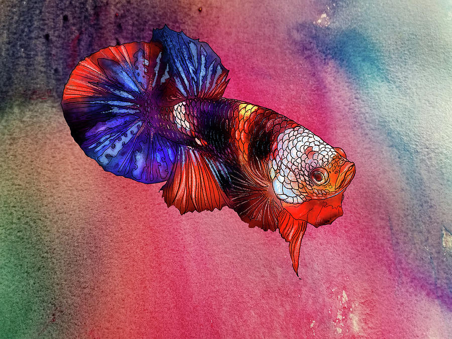 Lockdown Betta #13 Painting by Betta Painter | Fine Art America