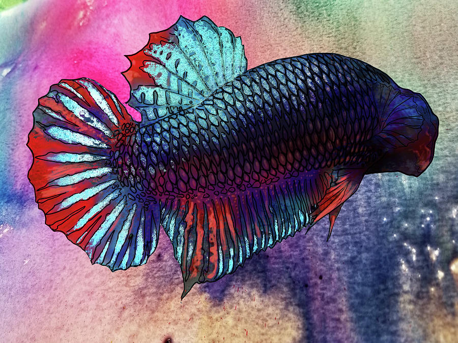 Lockdown Betta #4 Painting by Betta Painter - Fine Art America