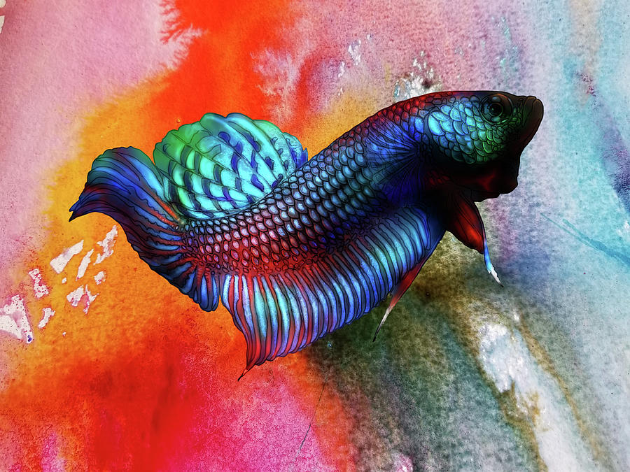 Lockdown Betta #47 Painting by Betta Painter | Fine Art America