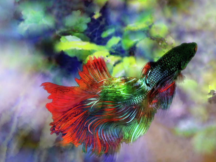 Lockdown Betta #5 Painting by Betta Painter - Fine Art America