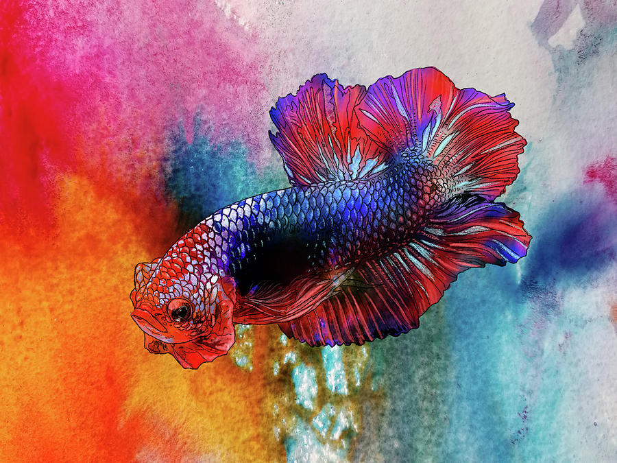 Lockdown Betta #52 Painting by Betta Painter - Pixels