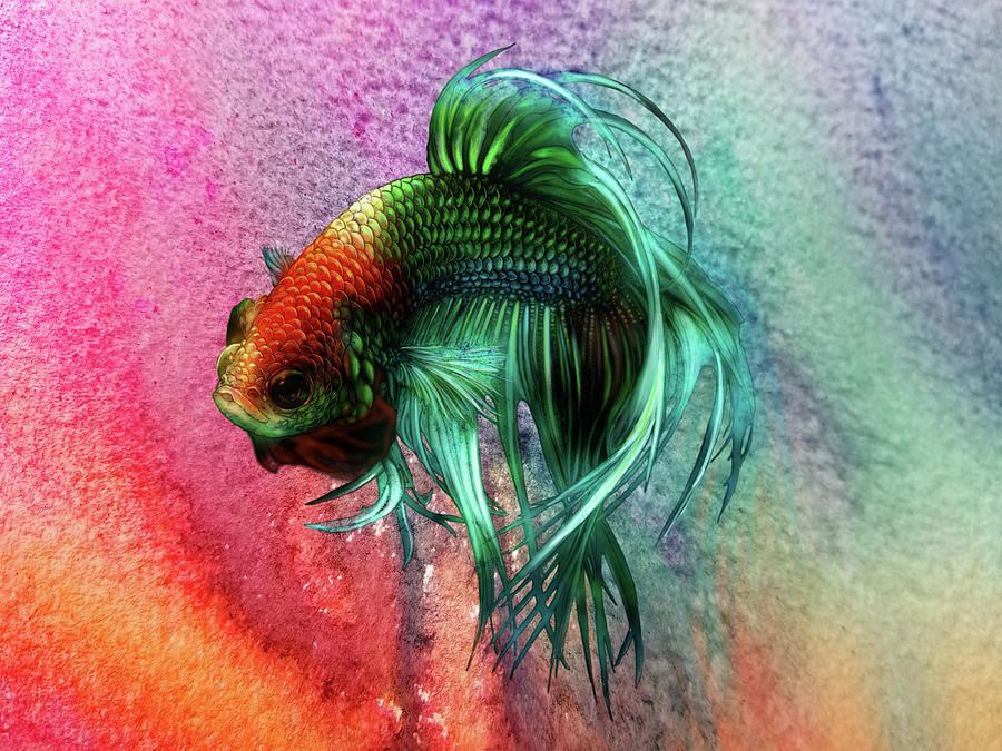 Lockdown Betta #74 Painting by Betta Painter