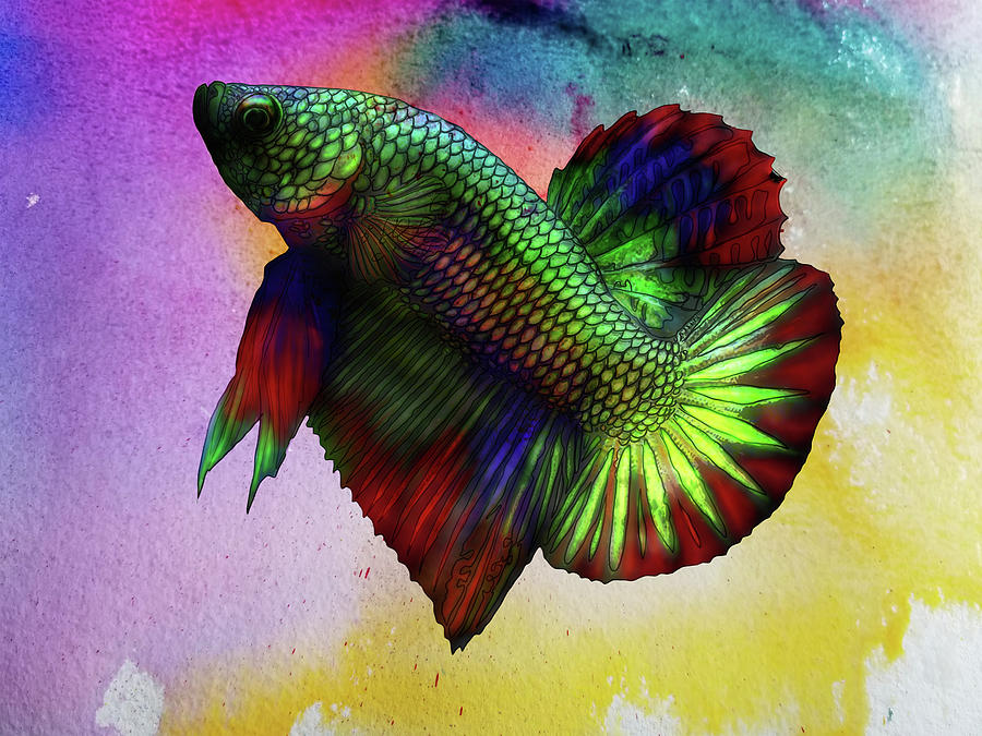 Lockdown Betta #88 Painting by Betta Painter - Fine Art America