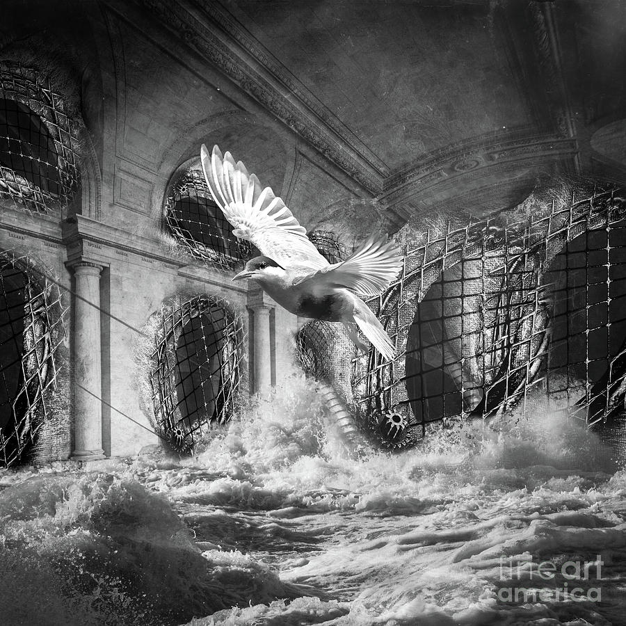 Seagull Digital Art - Lockdown BW by Elisabeth Lucas