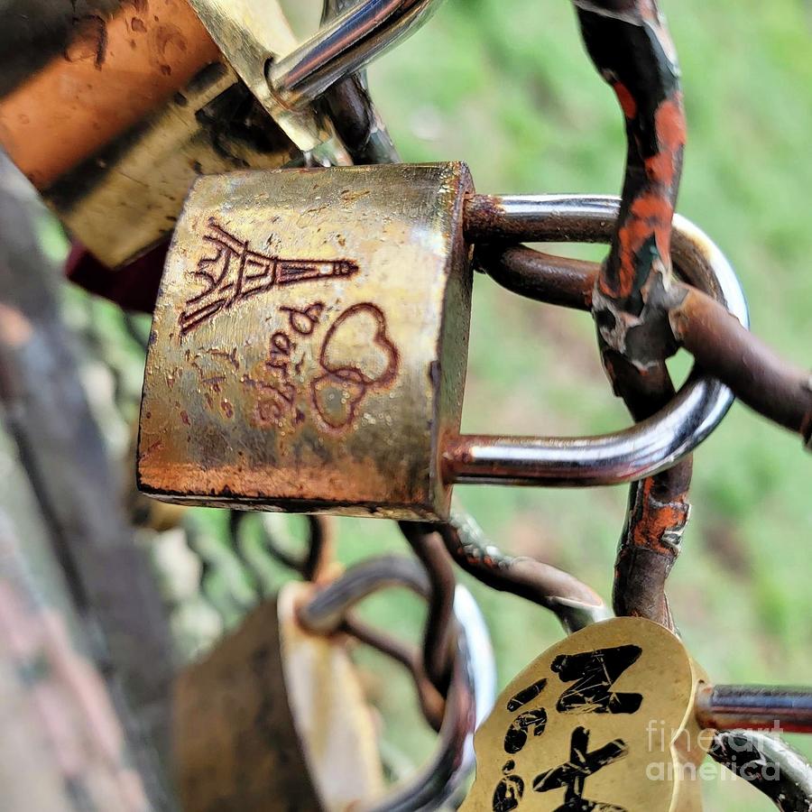 Locked In Love Photograph by Christy Gendalia