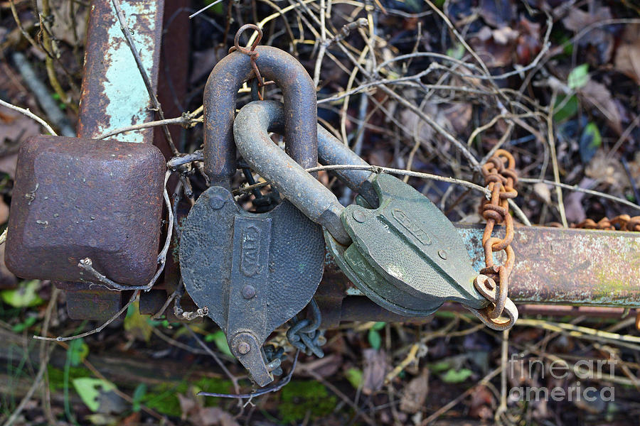 Locks And Rust Photograph
