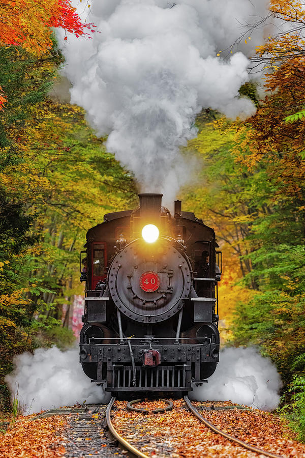 Locomotive No 40 Steam Train Photograph by Susan Candelario