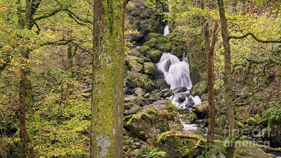 Lodore Falls, Lake District National Park, Cumbria, UK Photograph by Philip Preston