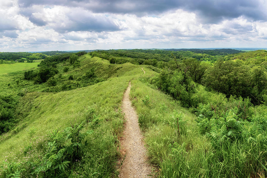 Loess Hills State Forest - Overlook Trail Photograph by Susan Rissi Tregoning