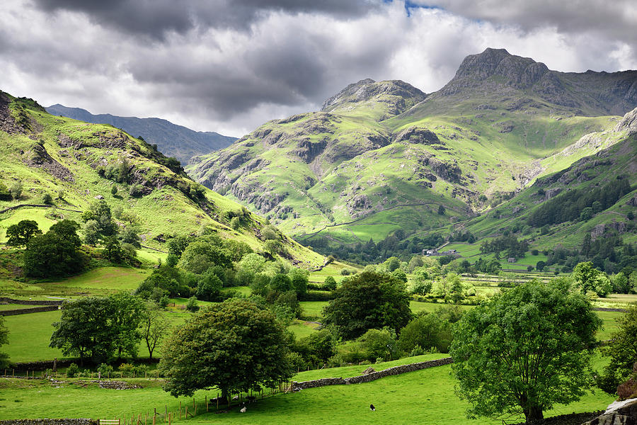 Loft and Thorn Crag peaks with highest Harrison Stickle from Gre Photograph by Reimar Gaertner