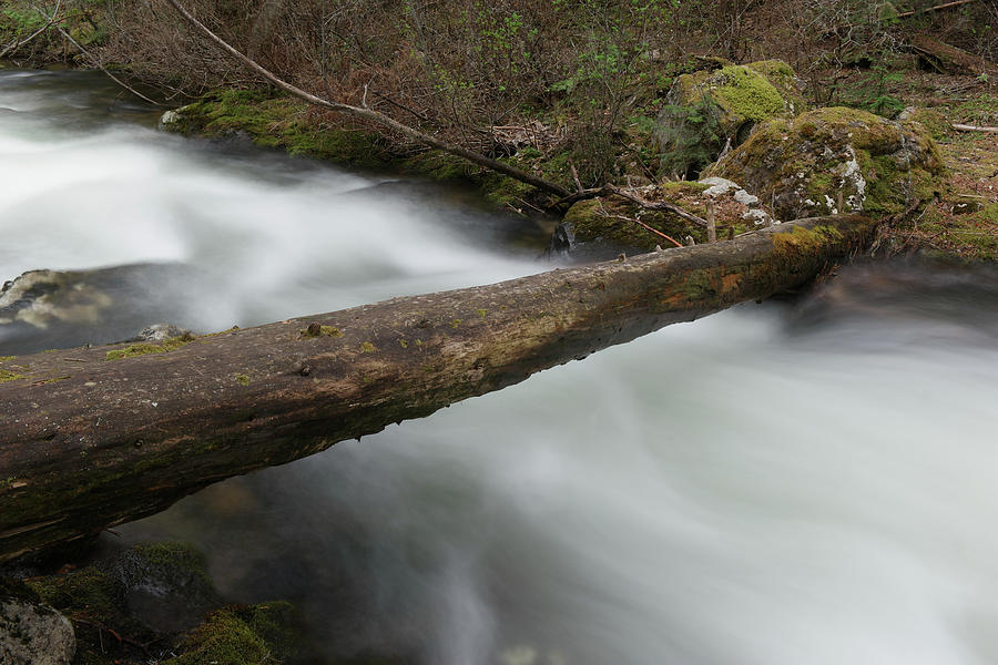 Log across a stream Photograph by Jeff Swan