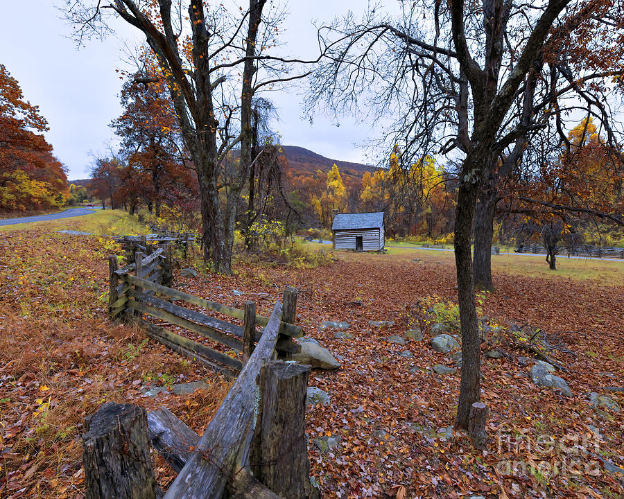 Log Cabin and Split Rail Fence Photograph by Scott Cameron