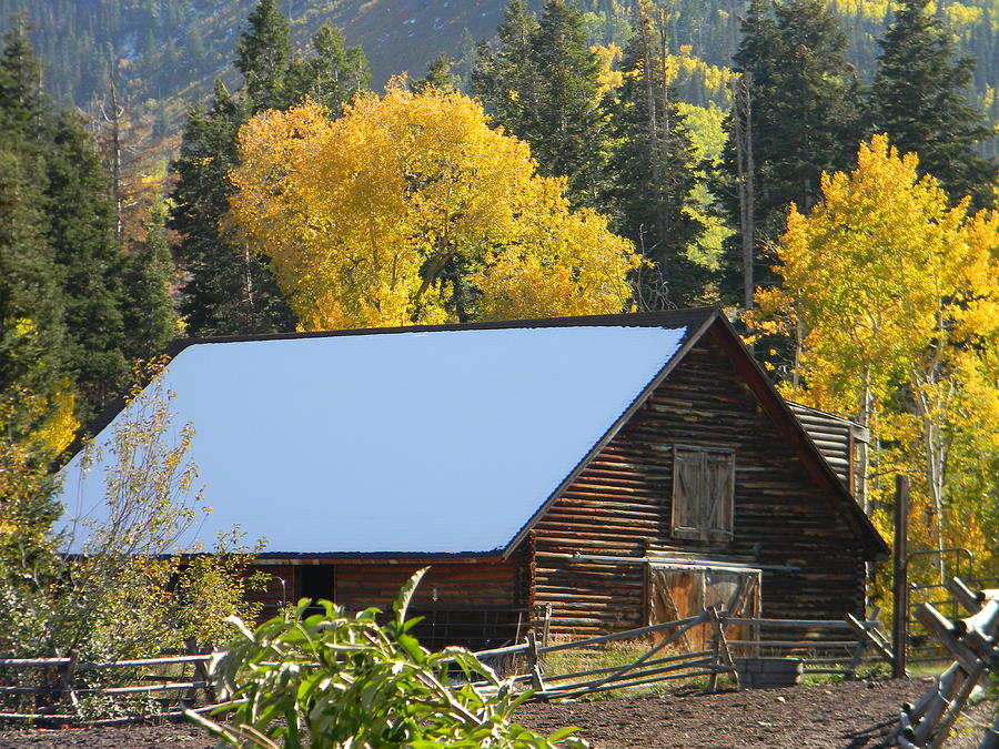 Log Cabin Barn Photograph By Nancy Aki 