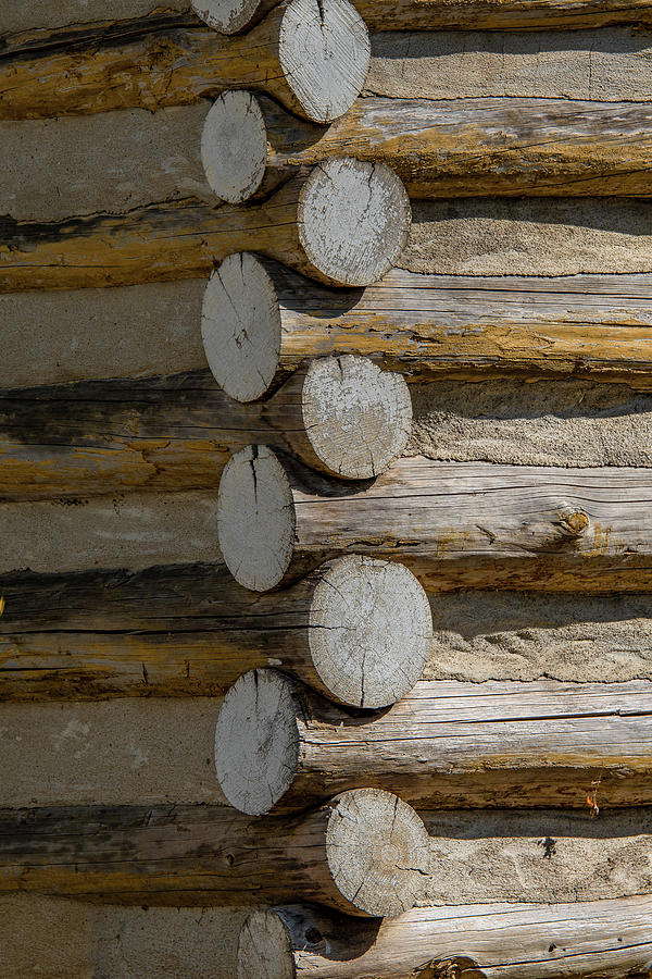Log Cabin Construction, Form and Texture Photograph by Marcy Wielfaert