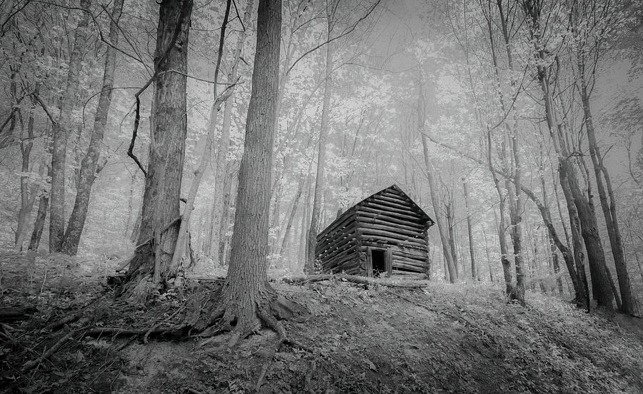 Log Cabin in the Woods Photograph by Bob Bell
