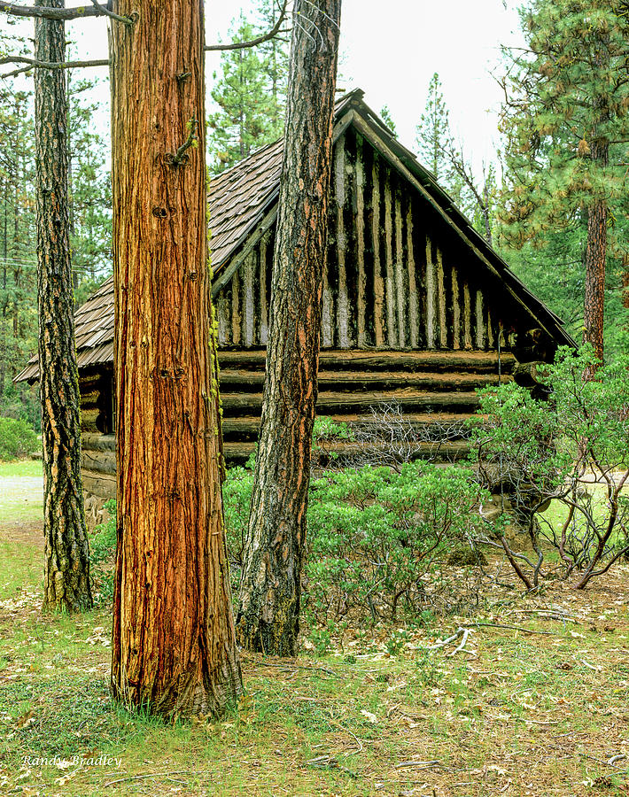 Log Cabin in the Woods  Photograph by Randy Bradley