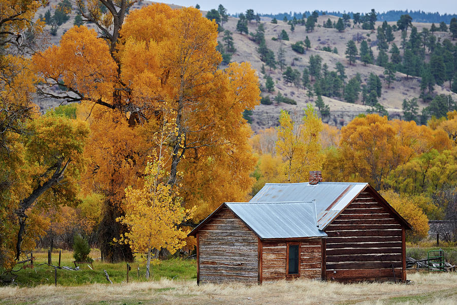 Log Cabin Montana Photograph by Paul Freidlund