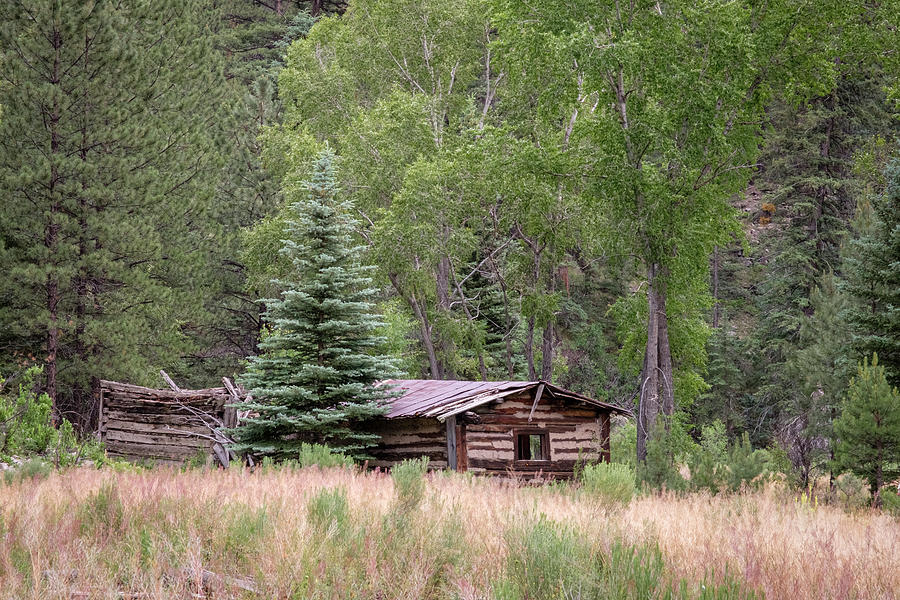 Log Cabin on the Rio Tusas Photograph by Mary Lee Dereske