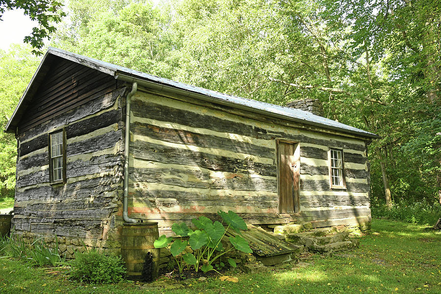 Log Cabin Photograph