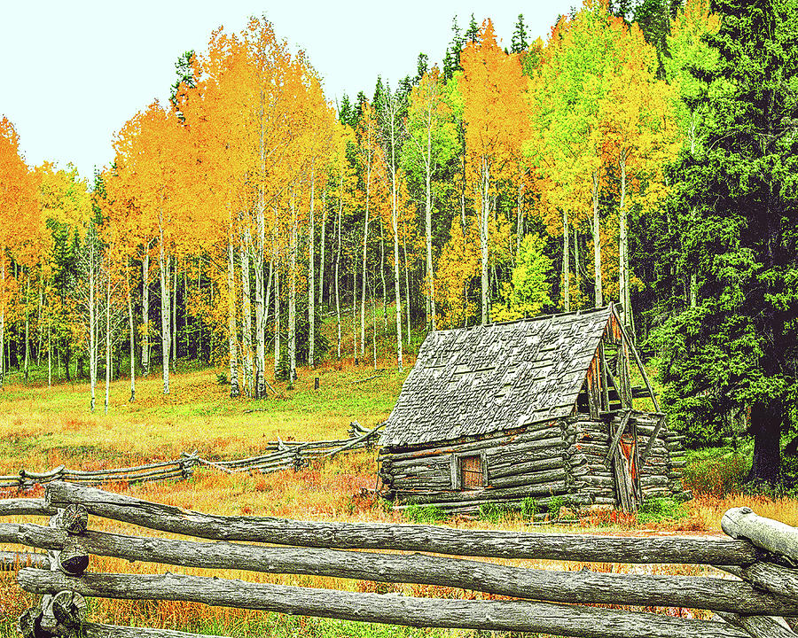 Log Cabin, Rocky Mountains Photograph by Don Schimmel