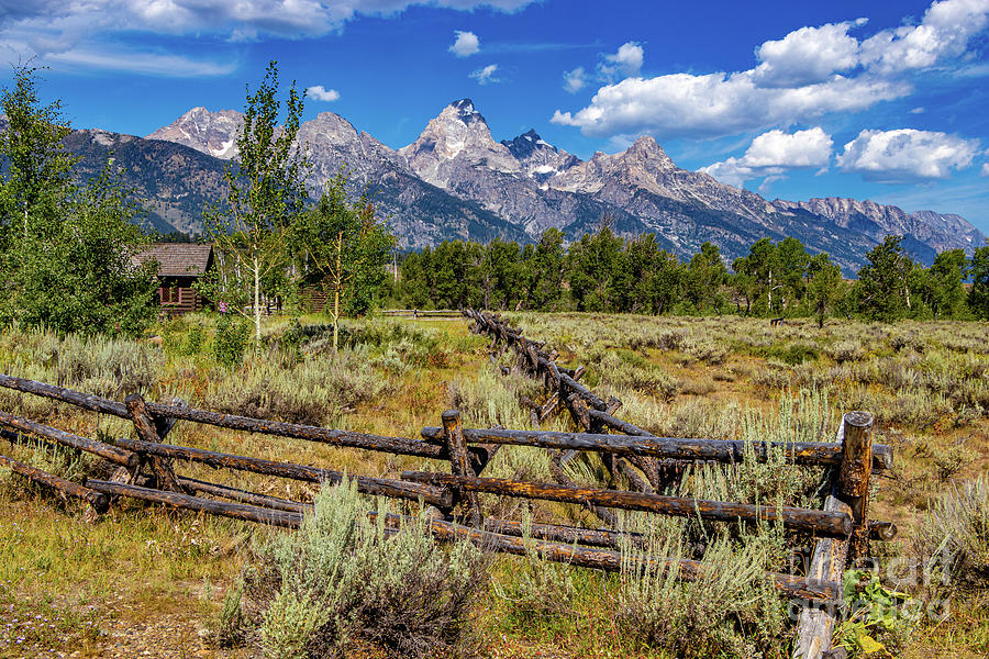 Log Fence Leading to Mountains of Grand Tetons Photograph by Roslyn Wilkins