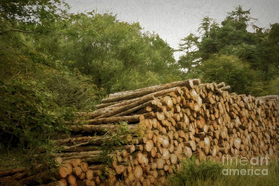 Log Pile - Bavelaw Photograph by Yvonne Johnstone