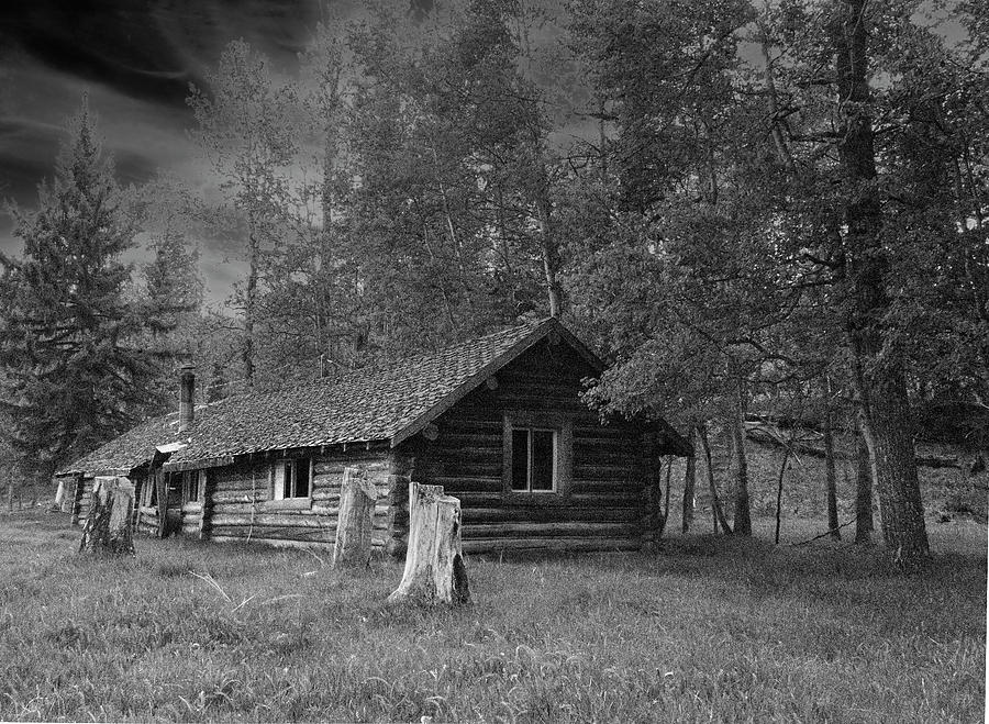 Black And White Photograph - Log Ranch House by Phil And Karen Rispin