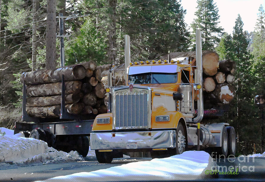Logger Negotiating Corners near Yosemite California Photograph by Debby Pueschel