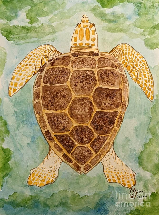 Loggerhead Sea Turtle Painting by Matt Starr - Fine Art America