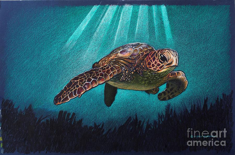 Loggerhead Turtle Drawing by Gary Stamper - Fine Art America