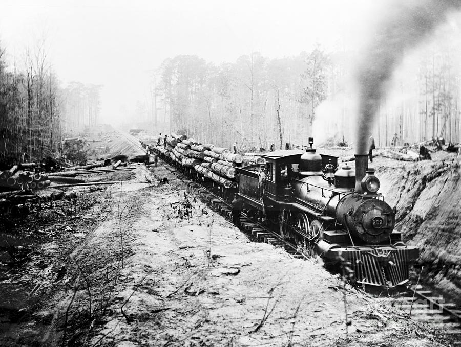 Logging Railroad, c1901 Photograph by Granger