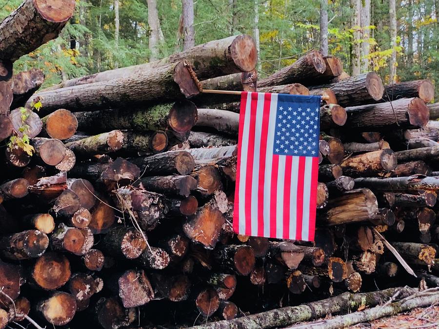 Lyndeborough NH Logging USA Photograph by Maria Trombas Fine Art