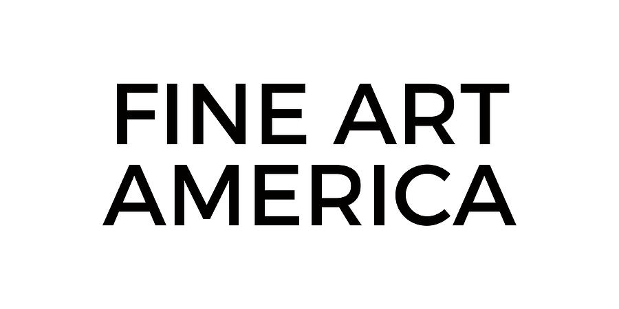 Fine Art America Logo Black Photograph by Fine Art America