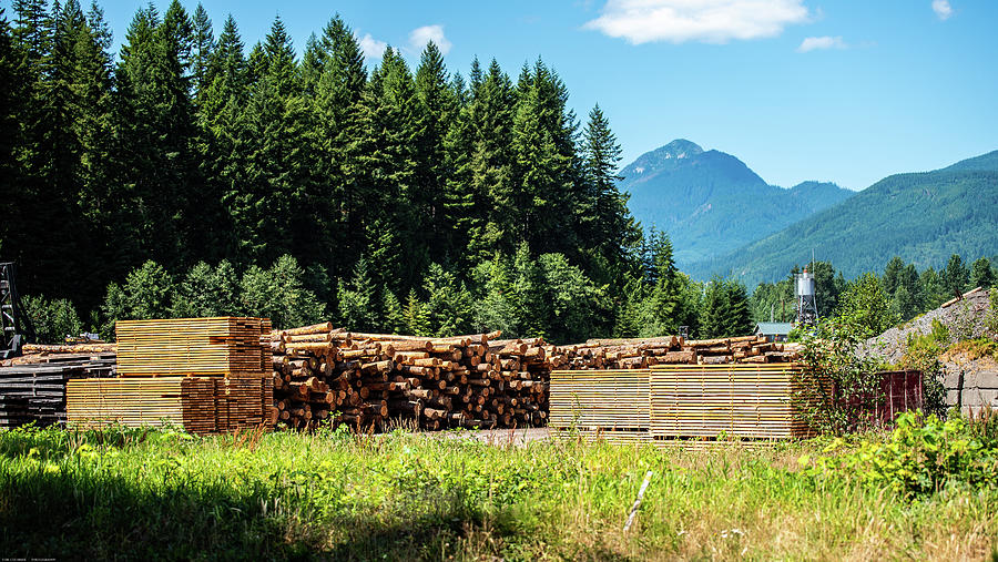 Logs Lumber and North Mountain Photograph by Tom Cochran