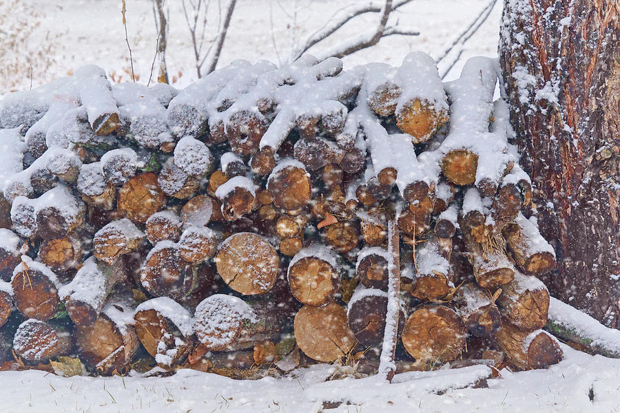 Logs to Burn - Winter Woodpile Photograph by Nikolyn McDonald