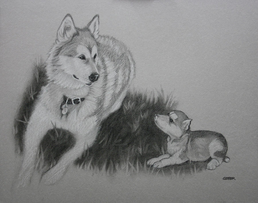 Loki and the pup Drawing by Todd Cooper