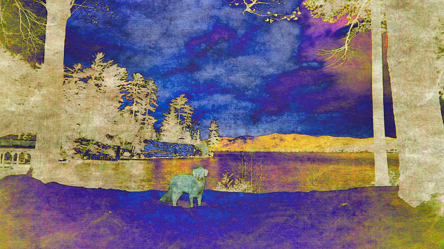 Lola at Lake George Winter Scene Digital Art by Russ Considine