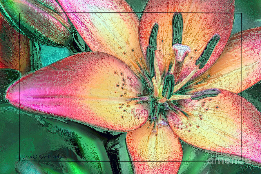 Lola Lily Digital Art by Macro Abundance Art Lola Lily Digital Art by Macro Abundance Art