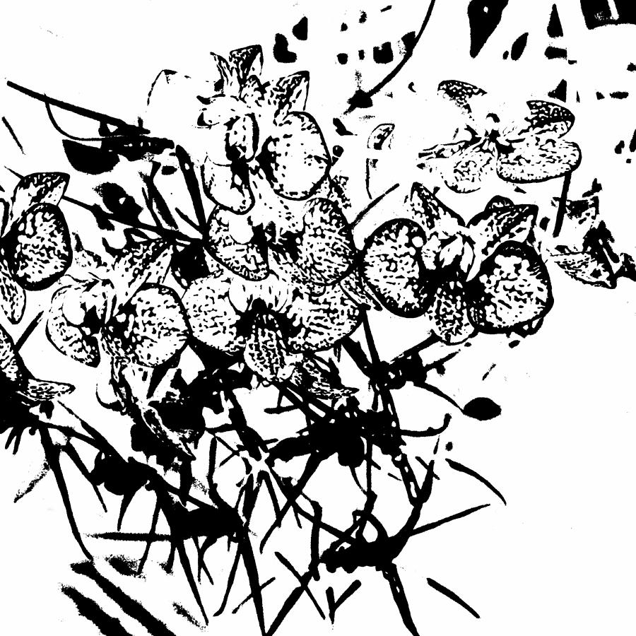 Lolito Digital Art by Fran Hogan Lolito Digital Art by Fran Hogan