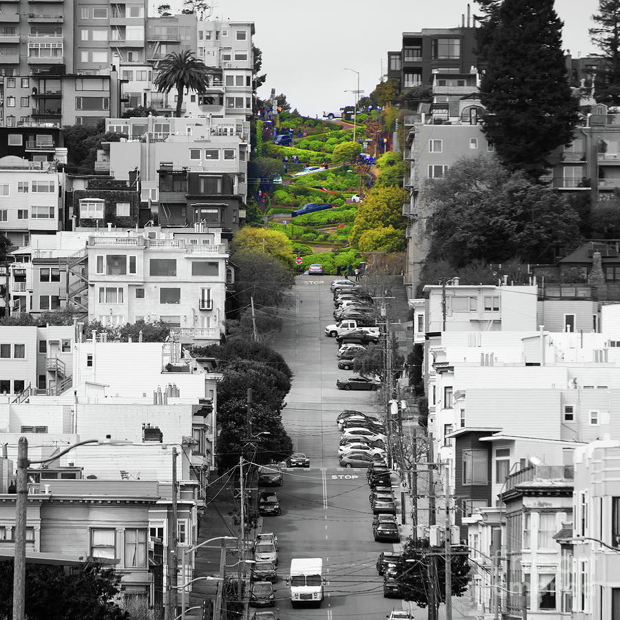 Lombard Street San Francisco Crookedest Street In America R164 bw square Photograph by Wingsdomain Art and Photography