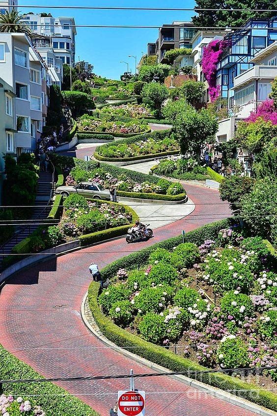 Lombard street San Francisco Painting by Thea Recuerdo - Pixels