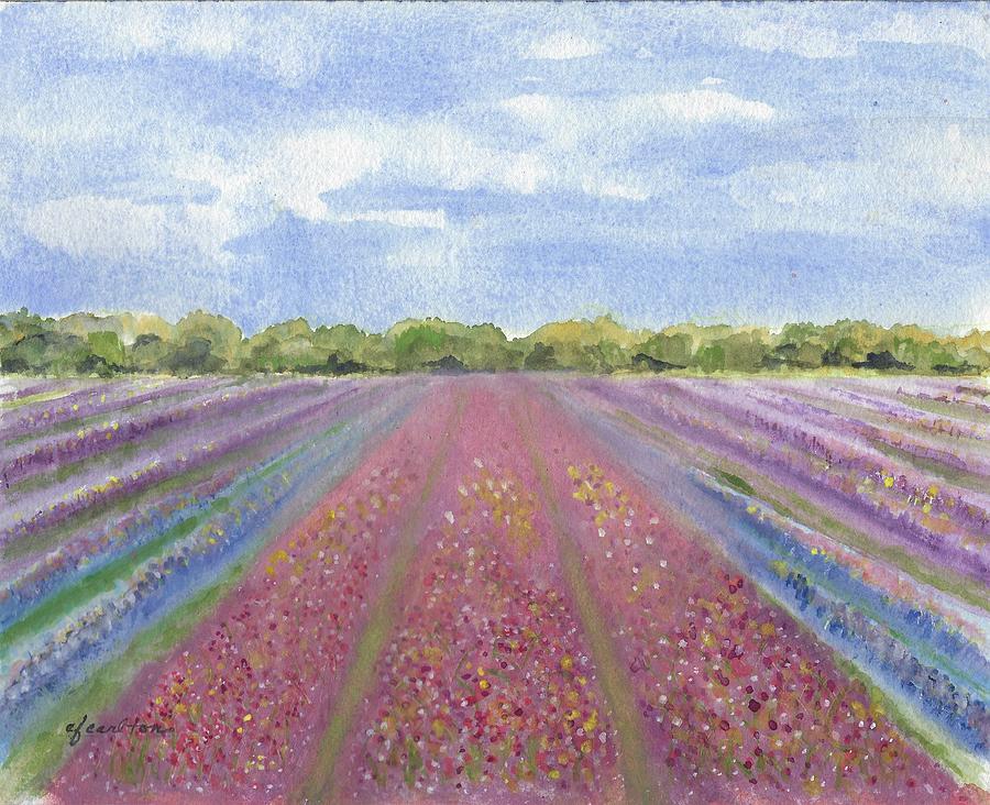 Lompoc Flower Field Painting by Claudette Carlton