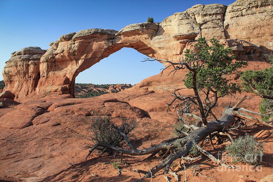 Lone Arch Photograph by Ed Stokes - Pixels