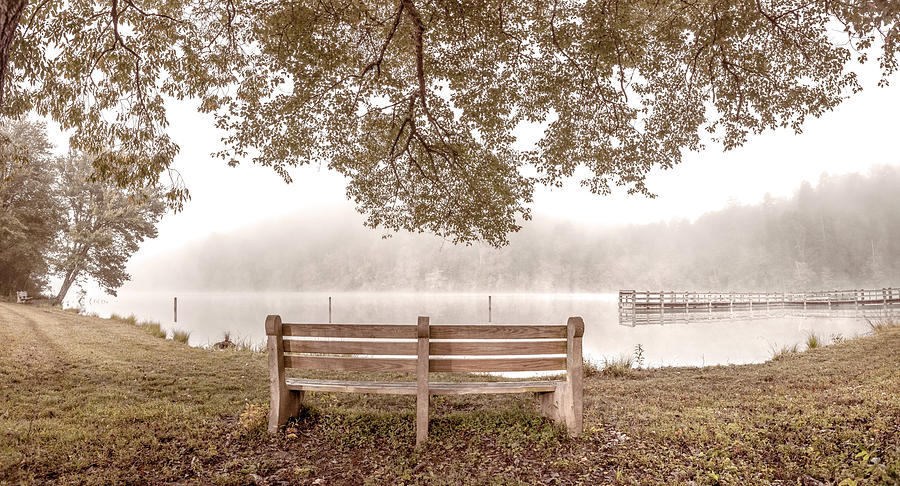 Lone Bench at the Lake Cottage Photograph by Debra and Dave Vanderlaan