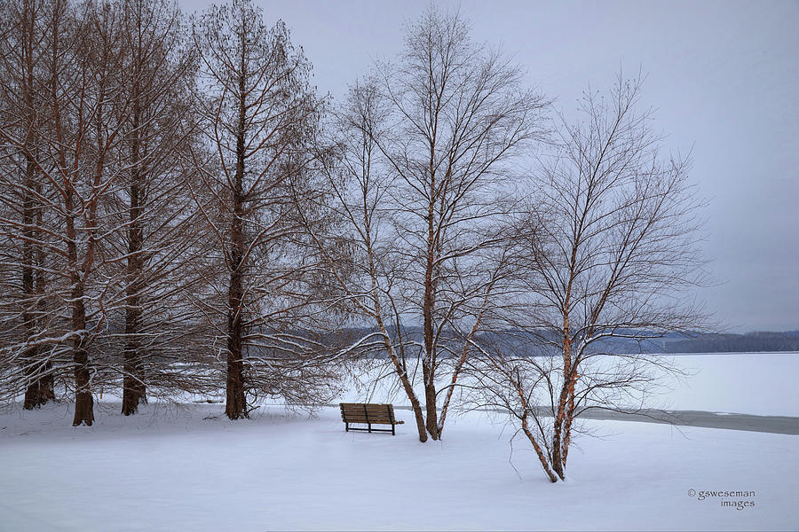Lone Bench Photograph by Greg Weseman