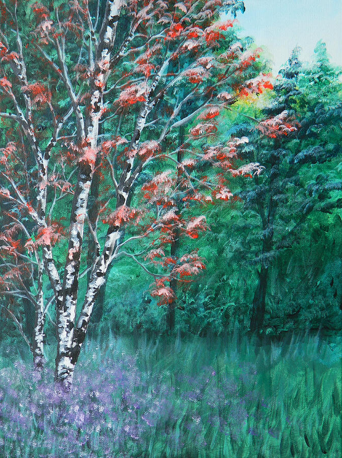 Lone Birch in the Forest Painting by Judy Imeson
