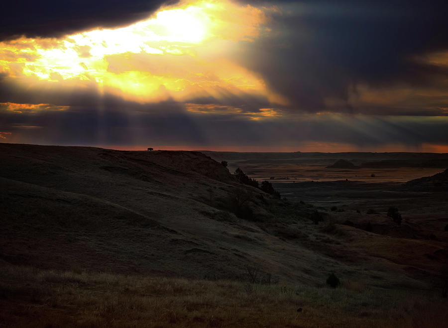 Lone Bison Badlands Sunset Photograph by Dan Sproul