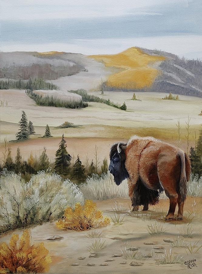 Lone Bison Painting by Connie Rish